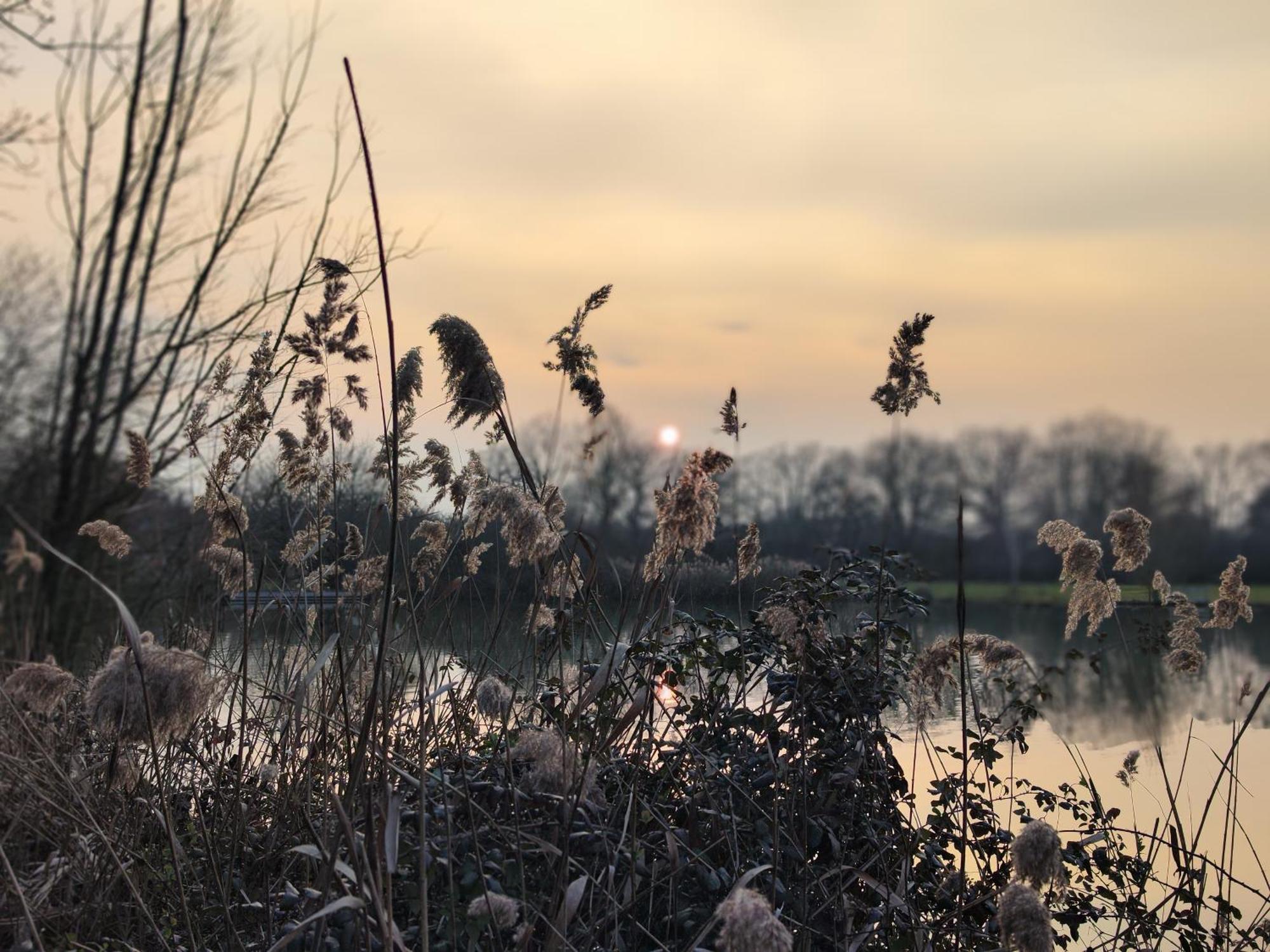 Domaine De La Roseliere • Nature • Brenne Rosnay  외부 사진